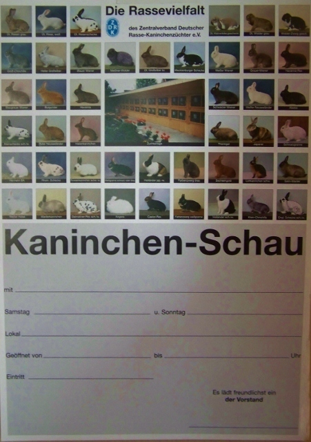 Plakat Kaninchenschau "Rassevielfalt" DIN A3