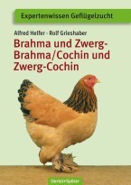Brahma+Zwerg-Brahma und Cochin+Zwerg-Cochin