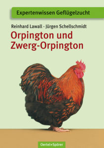 Expertenwissen Orpington und Zwerg-Orpington